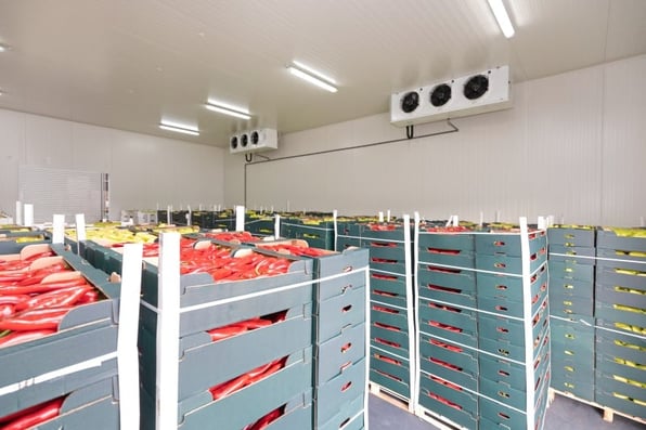 How to Overcome Cold Storage Challenges as a 3PL 