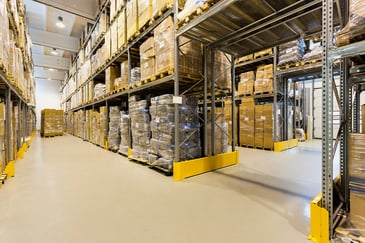 Exploring Growth: The Startup Warehouse 