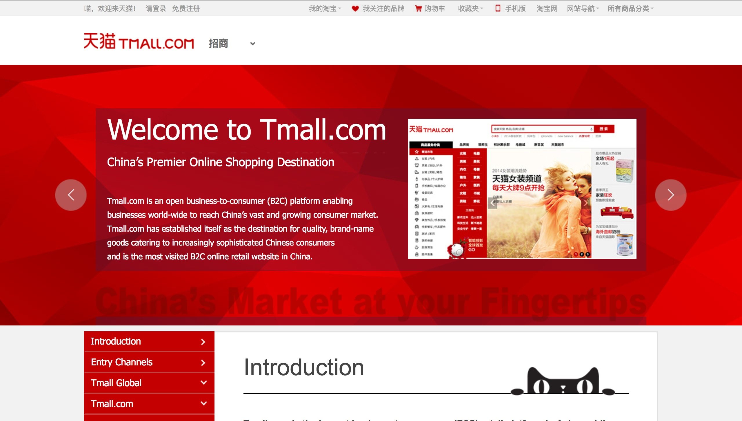 Tmall | How to expand into China's e-commerce scene