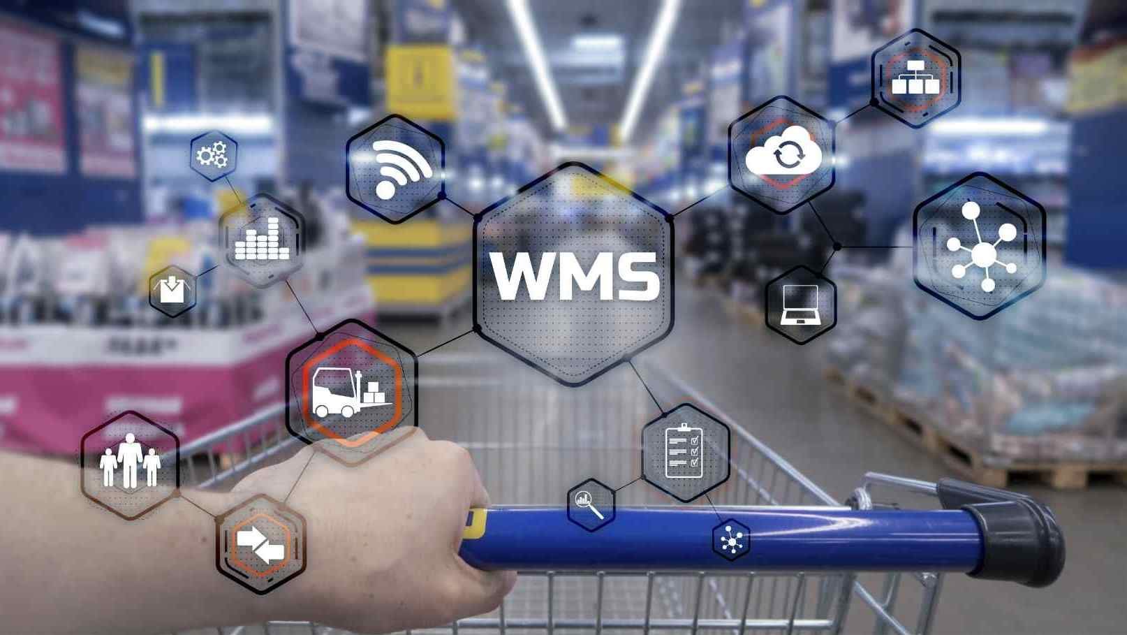 WMS concept on blurred warehouse background
