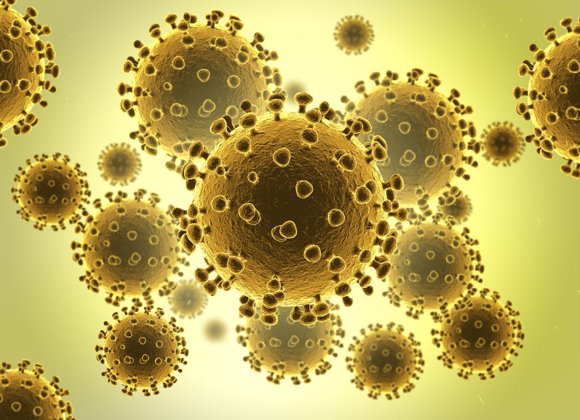 coronavirus