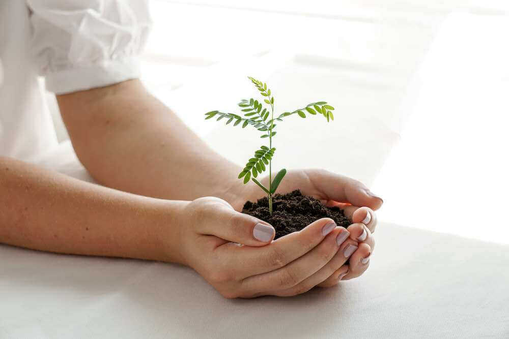 woman_holding_plant-1