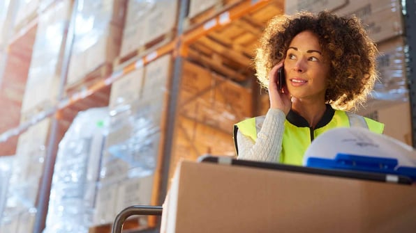 logistics manager checking deliveries