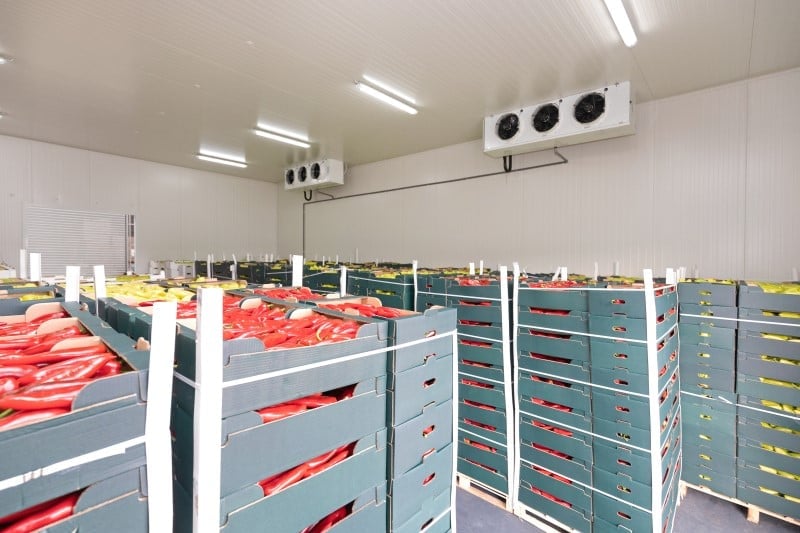 How to Overcome Cold Storage Challenges as a 3PL